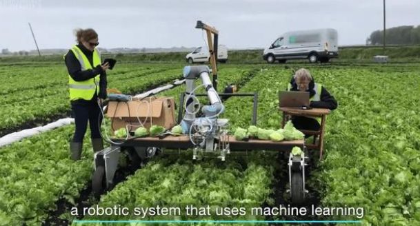 人机协作机器人是否能够真正改变农业？